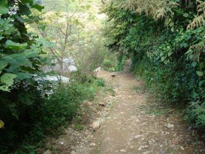 二道橋自然村 二道橋自然村