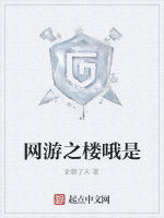 網遊之樓喔是 網遊之樓喔是