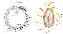 X射線公諸於世 X射線公諸於世