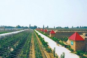 前渠河村 前渠河村