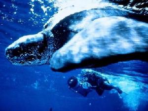 《亞特蘭蒂斯》劇照