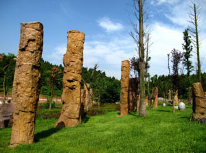 射洪矽化木國家地質公園 射洪矽化木國家地質公園