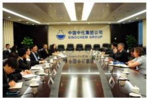 中化化肥控股有限公司