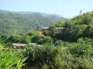 青連箐自然村 青連箐自然村