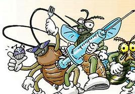 媒介傳染病 媒介傳染病