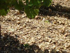 砂質黏土 砂質黏土