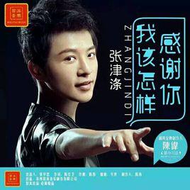 我該怎樣感謝你 我該怎樣感謝你