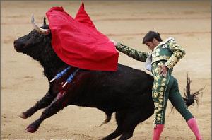 西班牙鬥牛