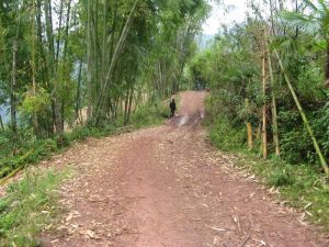 衛家寨村 衛家寨村