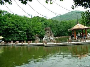 合肥野生動物園百鳥園