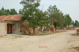 前官莊村[山東省兗州市大安鎮下轄村]