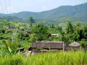 下曼岔村 下曼岔村