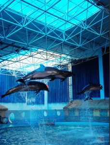 蓬萊水族館 蓬萊水族館