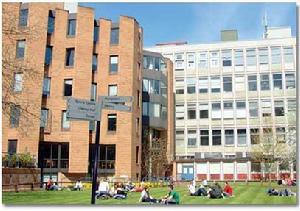 牛津布魯克斯大學