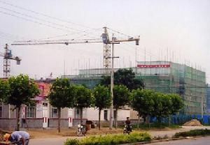 泊里河北村 泊里河北村