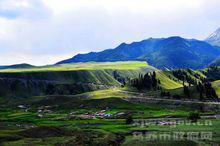 烏蘇市巴音溝牧場烏拉斯台之春