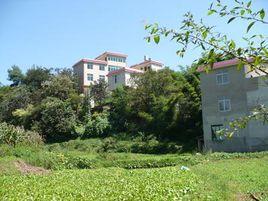 大自然村 大自然村