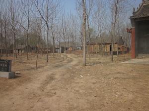 戚姬寺王莊 戚姬寺王莊