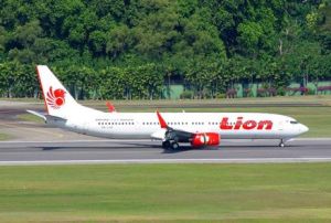 雄獅航空公司 雄獅航空公司