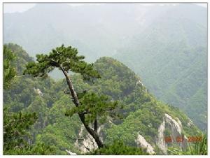 小秦嶺國家級自然保護區