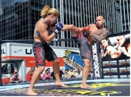 中國擒拿手 中國擒拿手