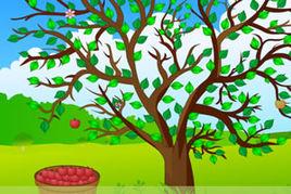 蘋果成熟了 蘋果成熟了