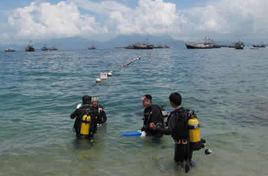 擔桿島自然保護區 擔桿島自然保護區