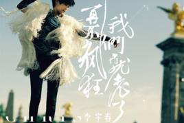 再不瘋狂我們就老了[李宇春演唱歌曲]