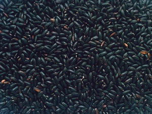 東南墨米 東南墨米