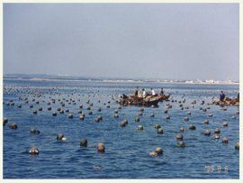 山東省海洋與漁業廳 山東省海洋與漁業廳