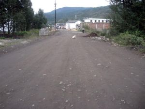 上河自然村 上河自然村