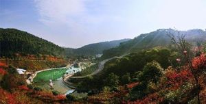 大金峰生態景區 大金峰生態景區