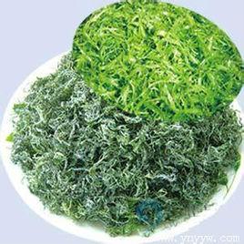 極大螺旋藻 極大螺旋藻