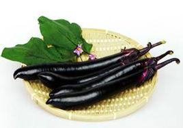 長豐一號[茄子]