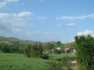 來弄自然村 來弄自然村