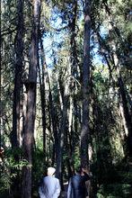 青龍潭[雲南省昆明市盤龍滇源鎮白邑村青龍潭]