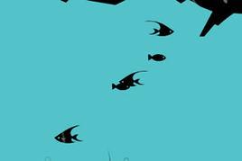 小黑魚-大魚吃小魚 小黑魚-大魚吃小魚