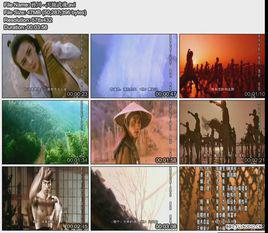 天地武魂 天地武魂