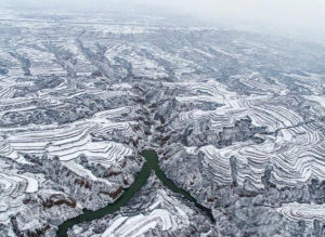 黃土高原雪景