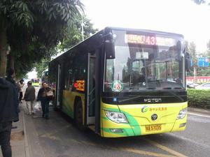 海口公交43路 海口公交43路