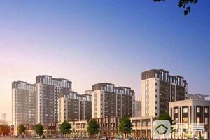 中央美地·天奕 中央美地·天奕