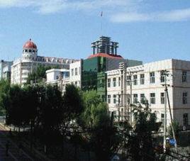 雞西市樹樑中學