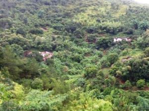 叉角寺自然村 叉角寺自然村