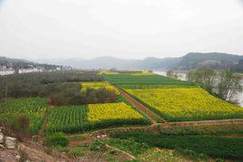 家鄉[故鄉老家]