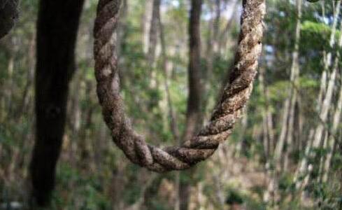 青木原森林 青木原森林