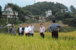 傅家堰鄉 傅家堰鄉