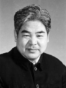 胡昶[中國電影家協會會員]