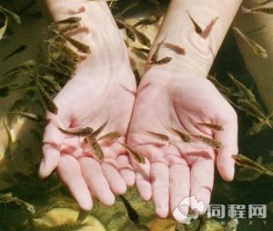 濟鋼小魚溫泉度假村 濟鋼小魚溫泉度假村