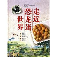 走進恐龍蛋世界 走進恐龍蛋世界