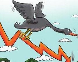 黑天鵝[股票術語]